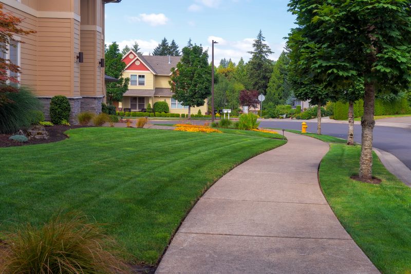 Concrete Sidewalk Installation Service